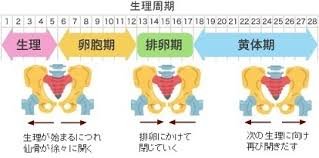 491ee985.jpg