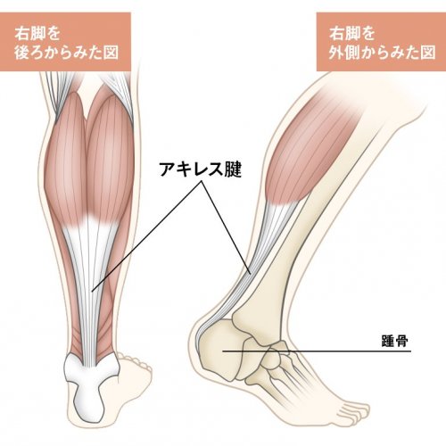 心臓がドキドキするの病気なの