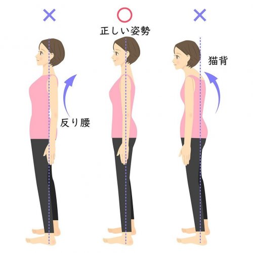 正しい姿勢は健康のバロメーター