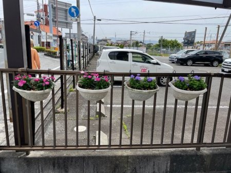 いつもありがとうございます